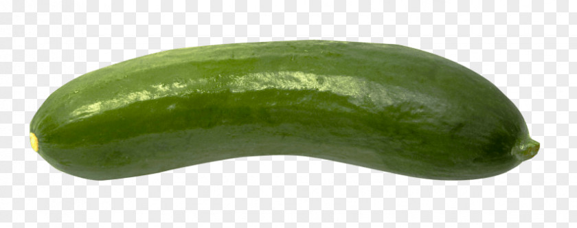 Cucumber Pickled Image Food PNG
