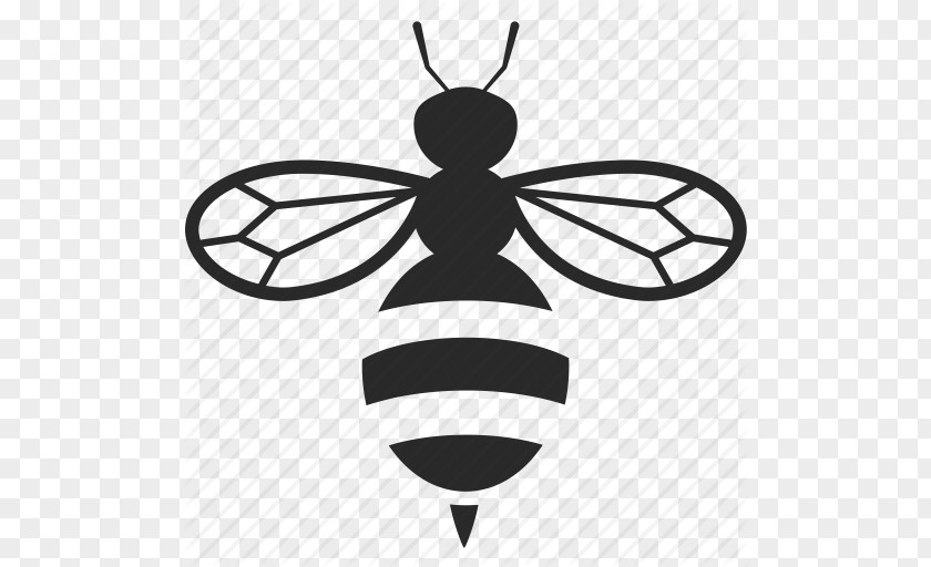 Free Bee Icon European Dark Beehive PNG