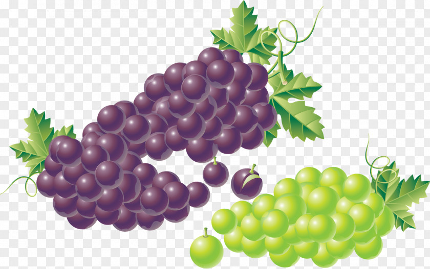 Grape Kyoho Zante Currant Fruit PNG