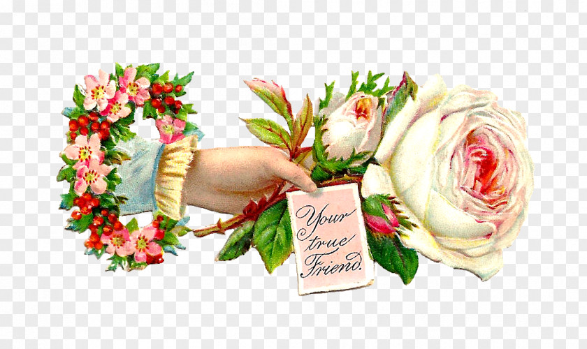 Hand Flowers Victorian Era Rose White Clip Art PNG