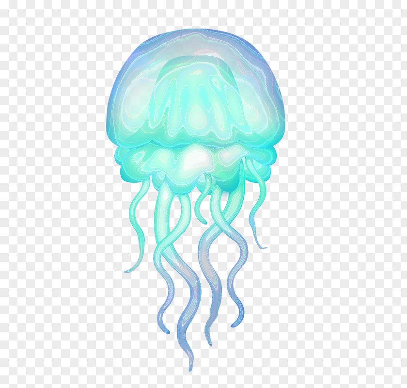Rhizostomae Hydrozoa Aquatic Animal Box Jellyfish PNG