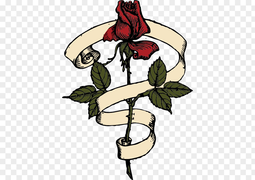 Rose Vine Drawings Scroll Clip Art PNG