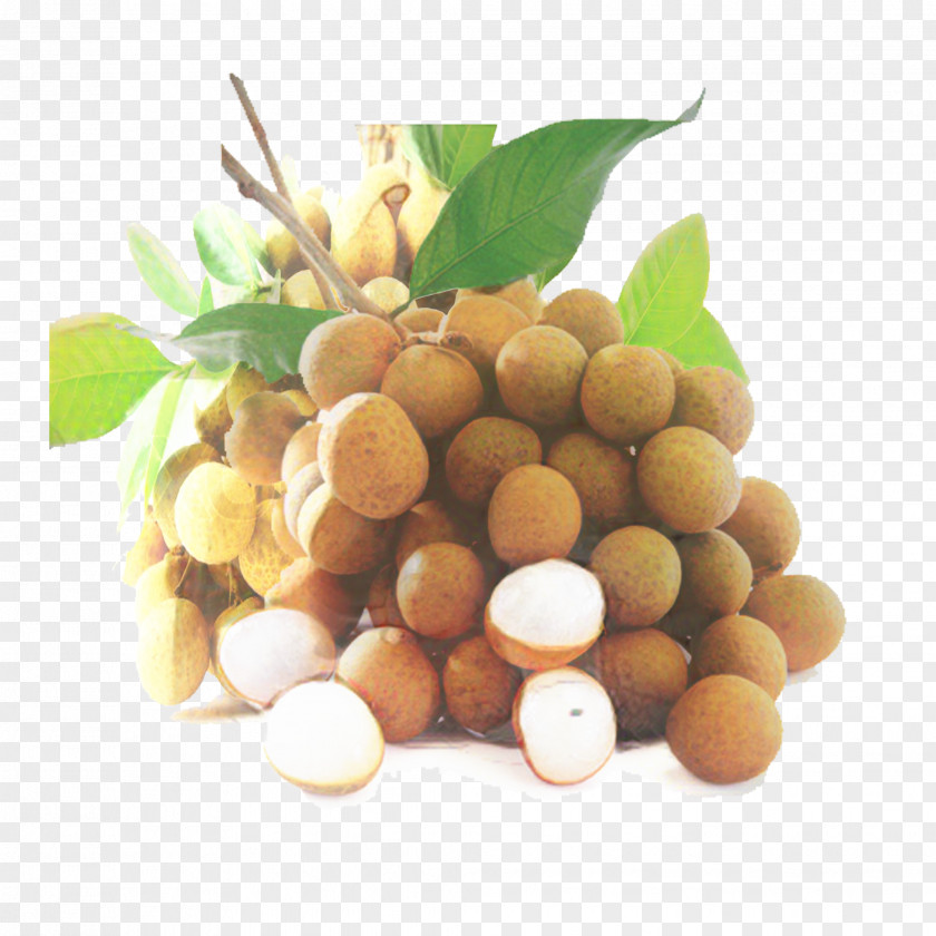 Tree Soapberry Family Background PNG