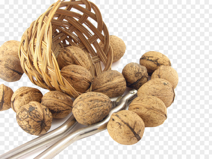Basket Of Walnuts Juglans Walnut Congee Food Ingredient PNG