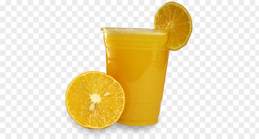 Jugo De Naranja Fresco Orange Juice Drink Fuzzy Navel Lemonade Soft PNG