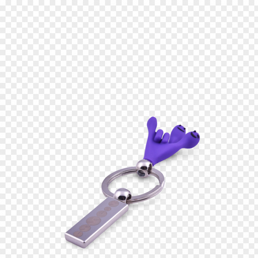 Key Ring Chains Violet Keyring PNG