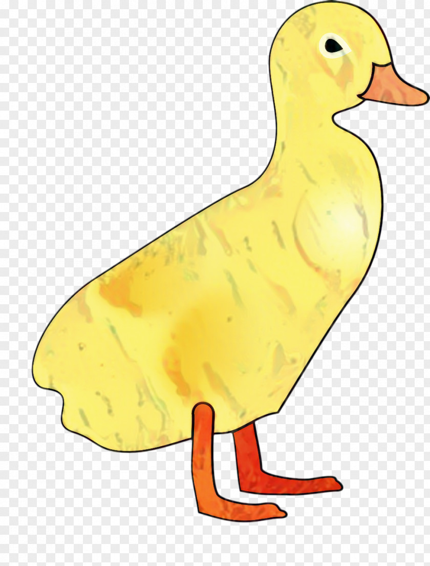Livestock Waterfowl Chicken Cartoon PNG