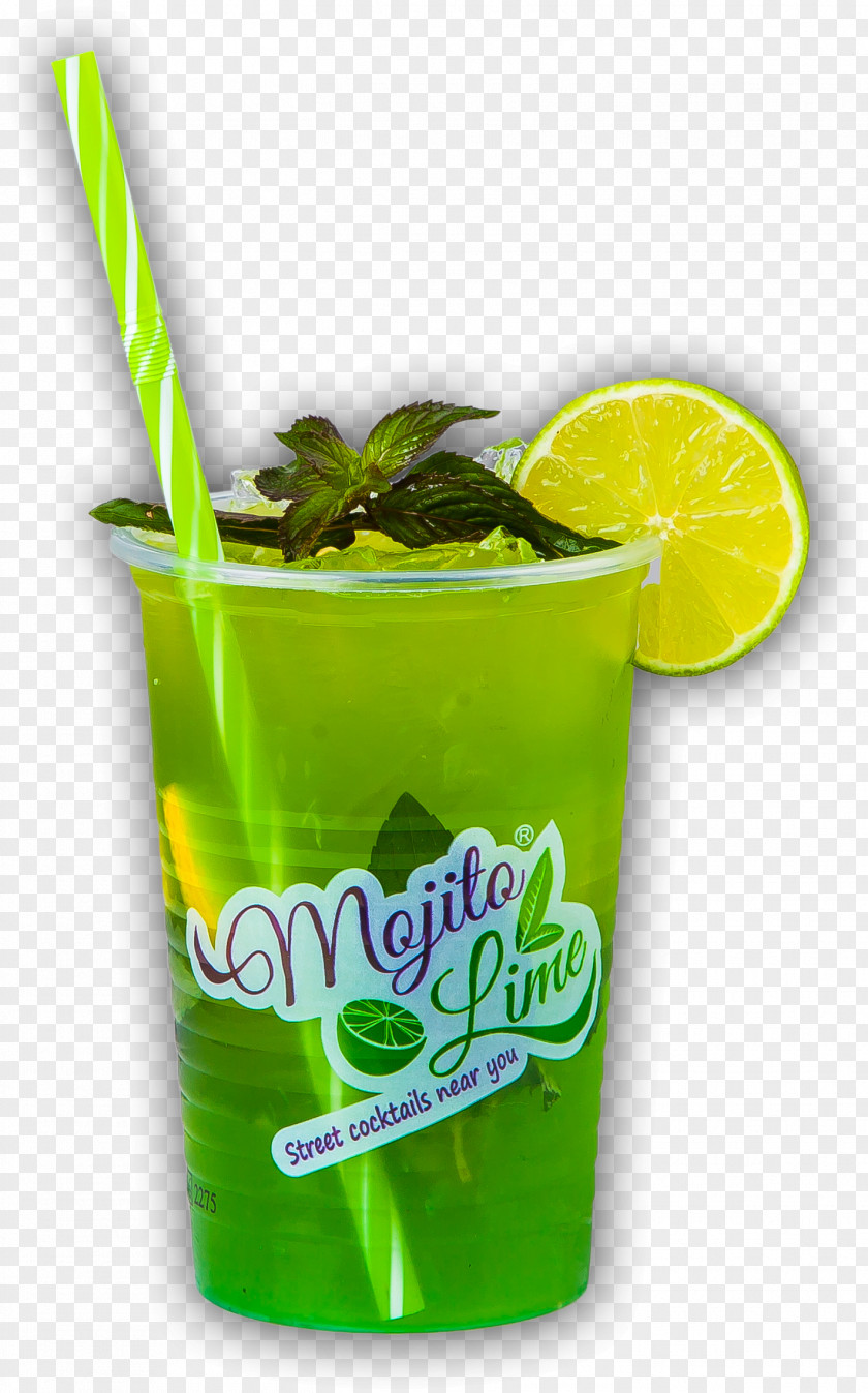 Mojito Non-alcoholic Drink Cocktail Garnish Caipirinha PNG