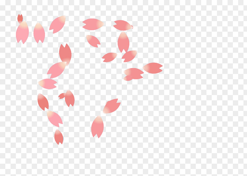 Pink Cherry Petals National Blossom Festival Petal Cerasus PNG
