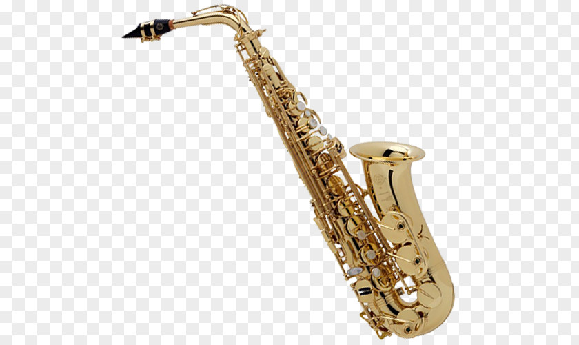 Saxophone Alto Henri Selmer Paris Reference 54 PNG