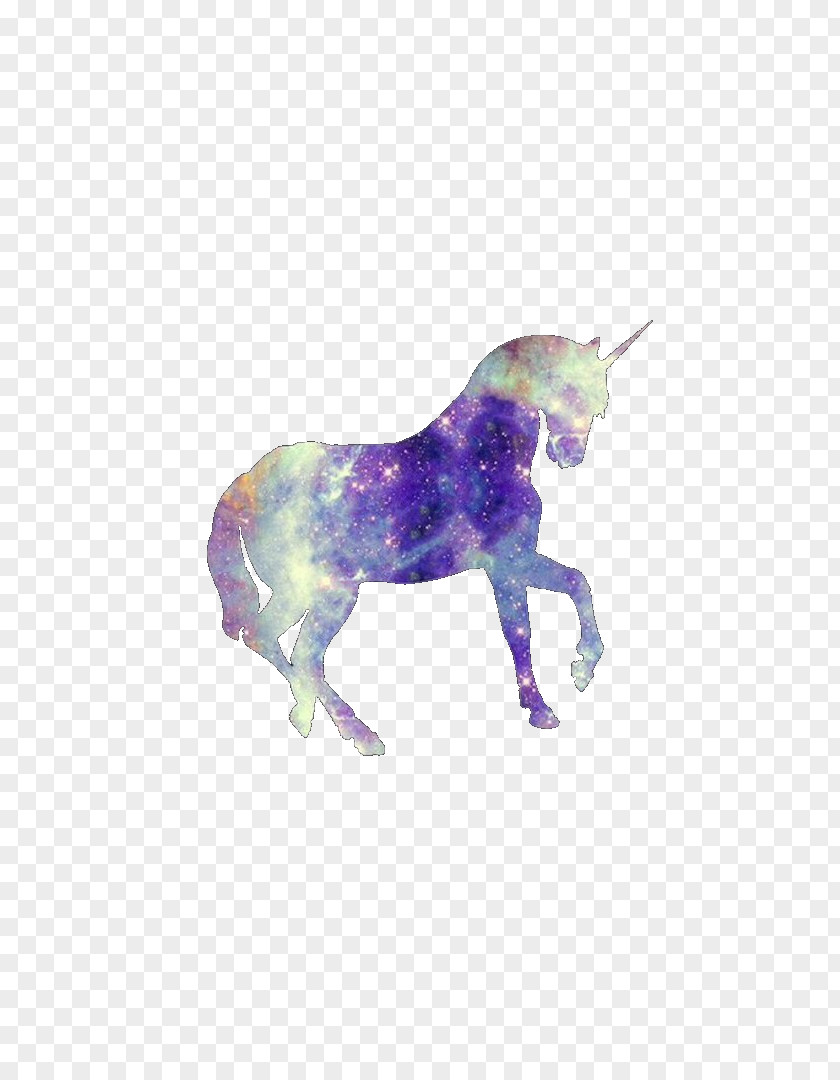 Unicorn Lock Screen Desktop Wallpaper PNG