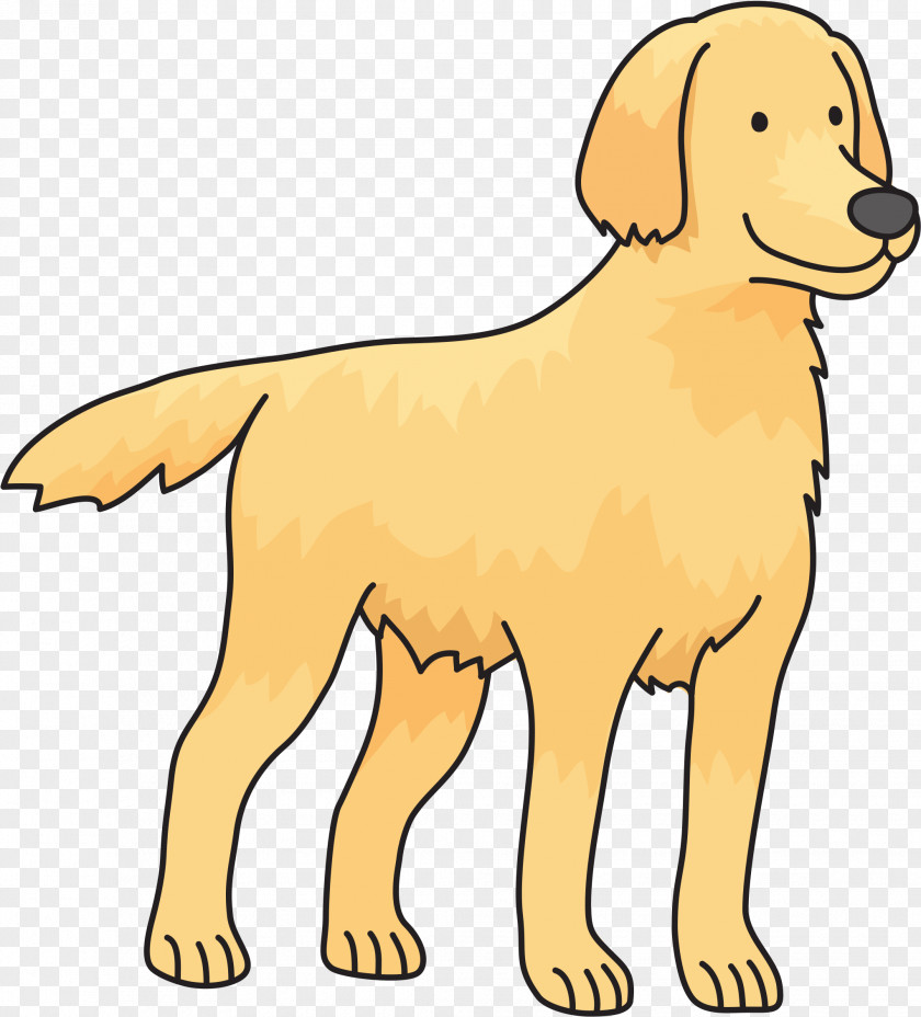 Animal Dog Golden Retriever Labrador Puppy Flat-coated Poodle PNG