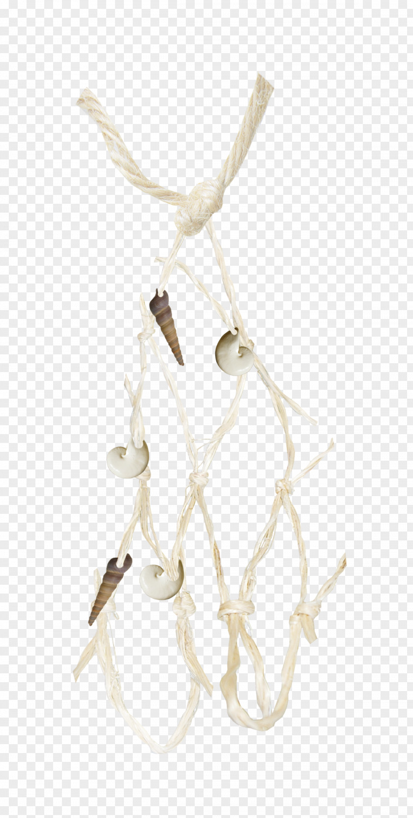 Fishnet Conch Fishing Net Rope PNG