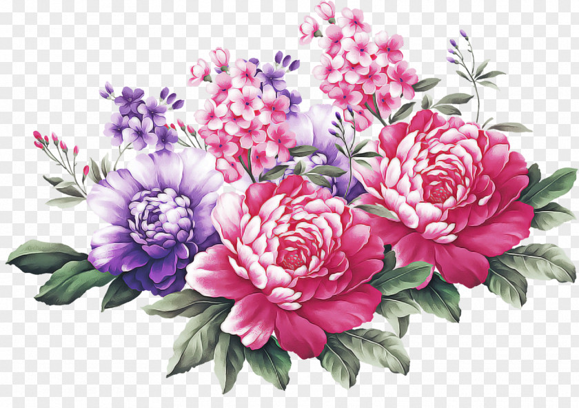 Floral Design Chinese Peony PNG