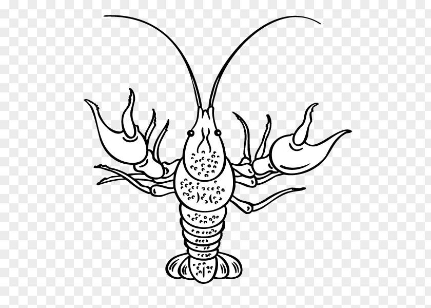 Hand Painted,lobster,Standing Lobster PNG