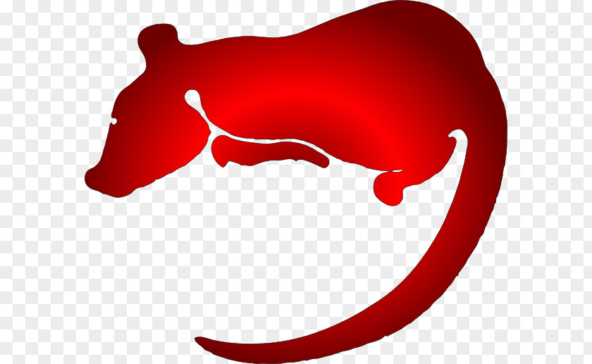 Rat Black Laboratory Mouse Clip Art PNG
