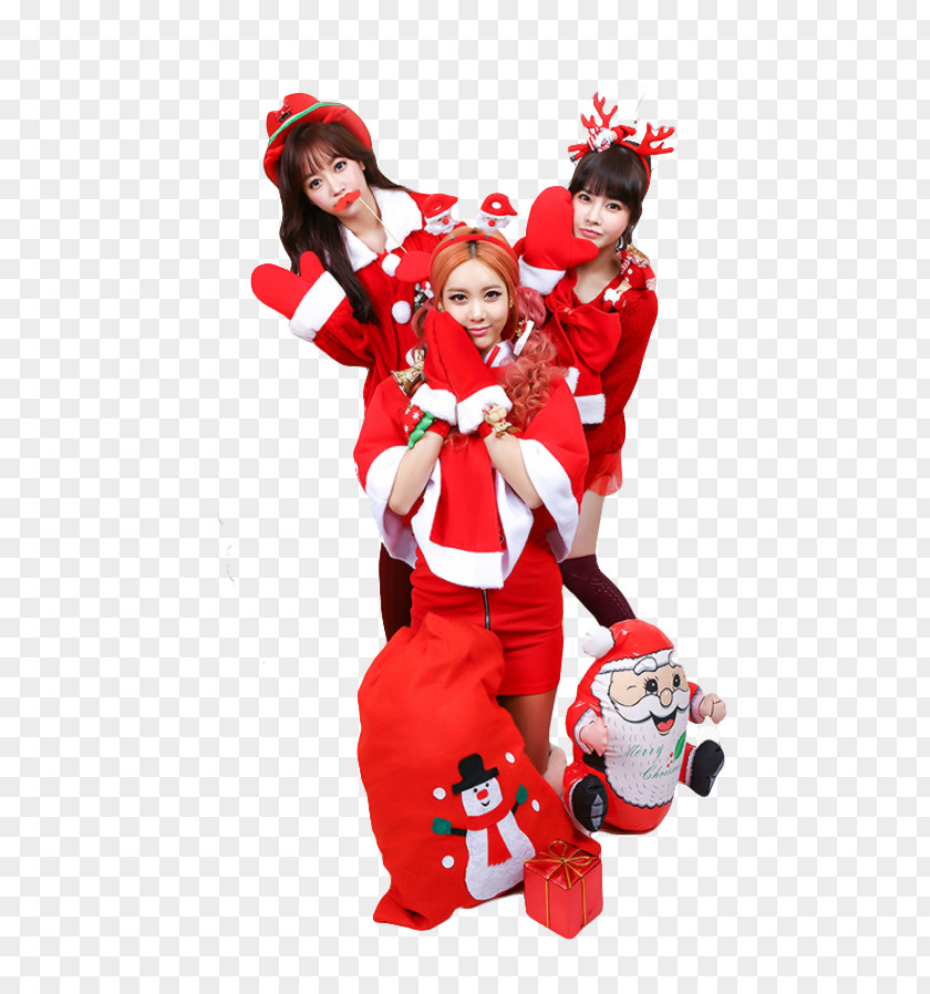Santa Claus T-ara Christmas Ornament PNG