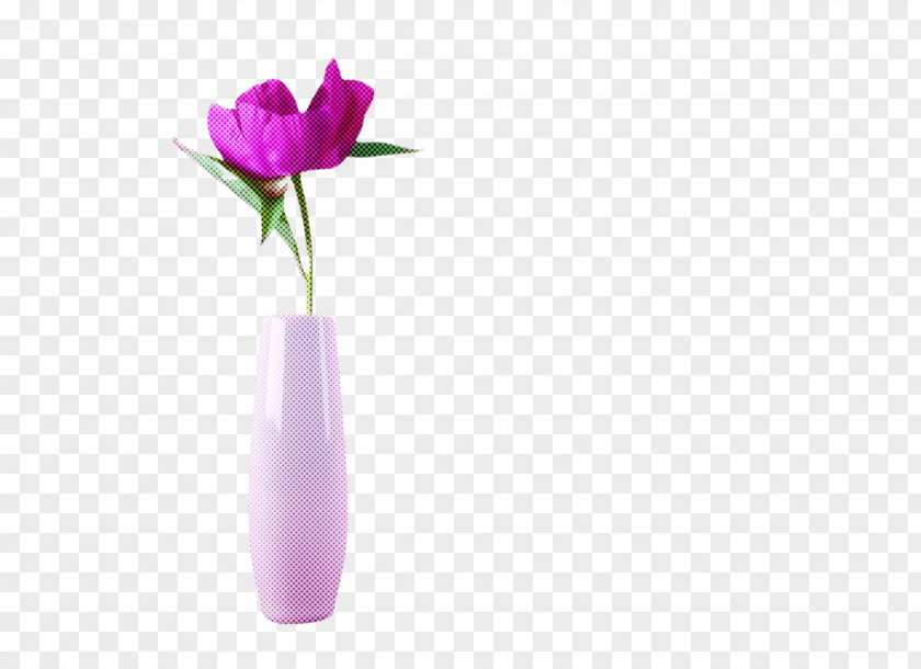 Vase Flower Purple Violet Plant PNG