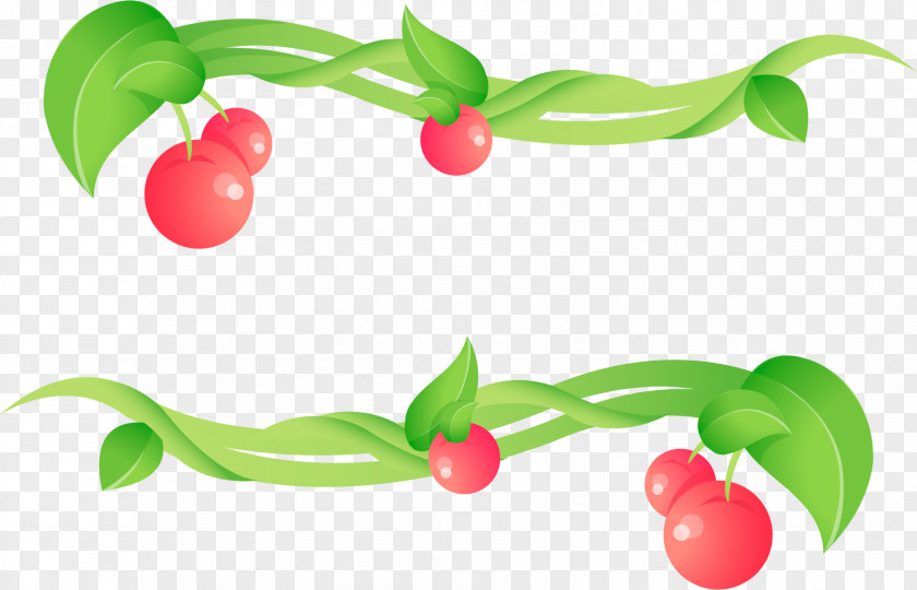 Aftabshireen Cherry Cerasus Clip Art PNG