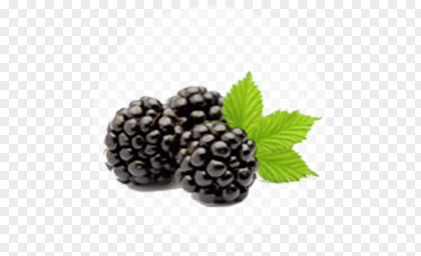 Blackberry Fruit Granita Shutterstock PNG