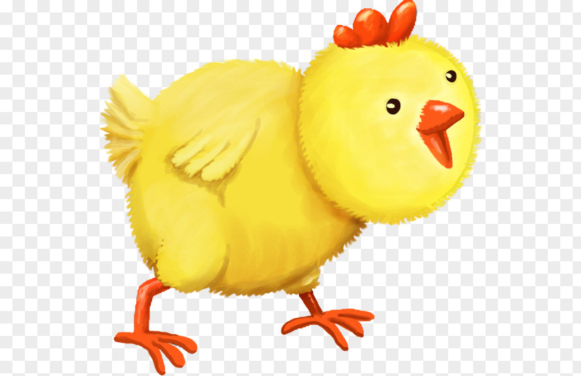 Cute Cartoon Chicken Rooster Clip Art Beak As Food Animal PNG