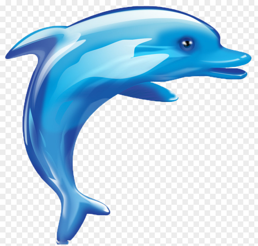 Dolphin,animal,lovely Dolphin Cartoon Cuteness PNG
