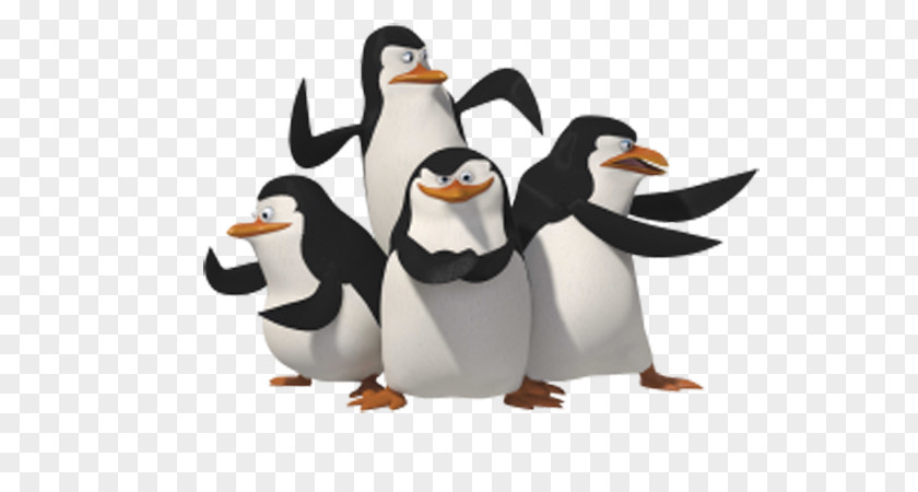 Madagascar Penguins The Of DreamWorks Television Show PNG