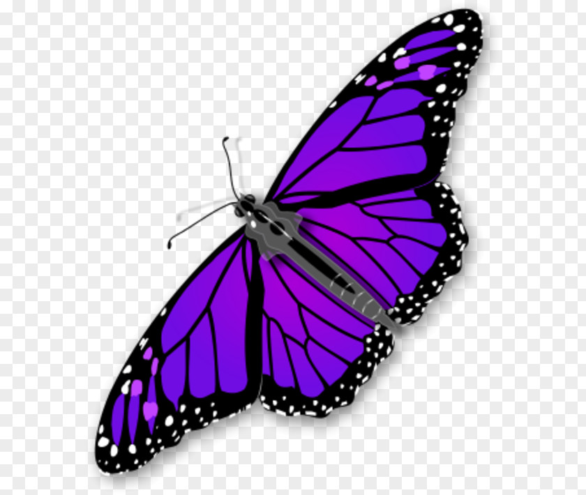 Purple Butterfly Transparent Monarch Clip Art PNG