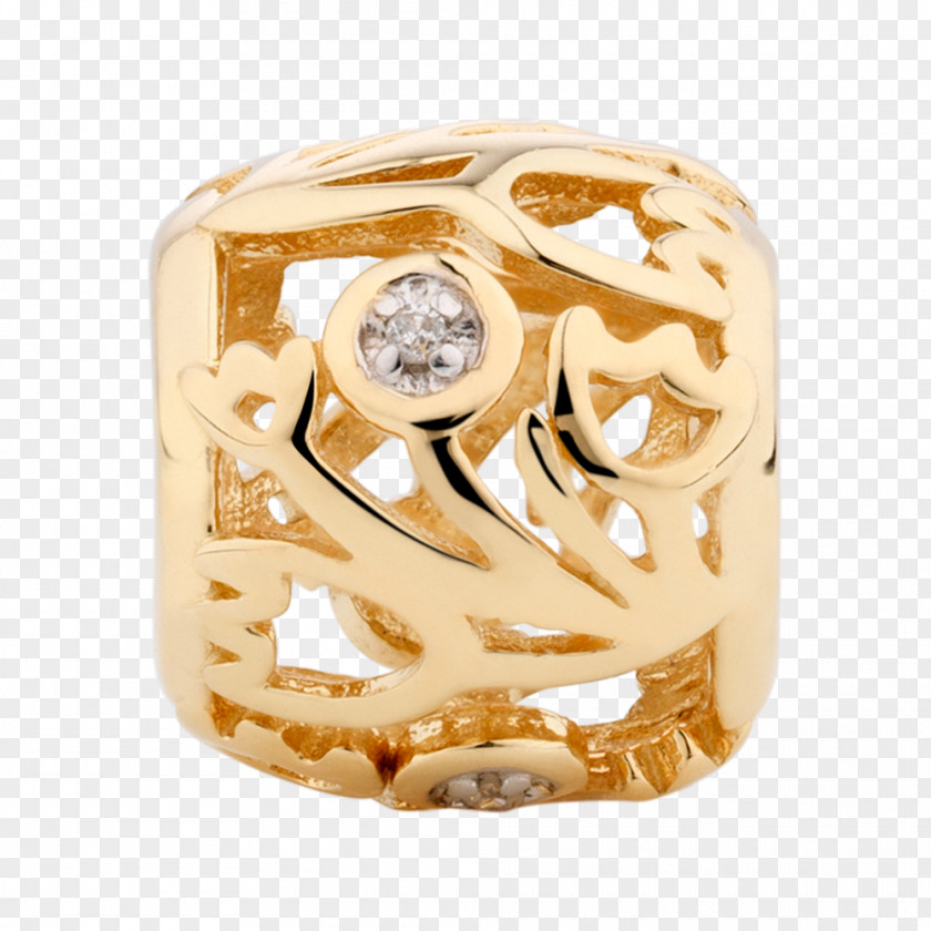 Silver Gold Body Jewellery Jewelry Design PNG