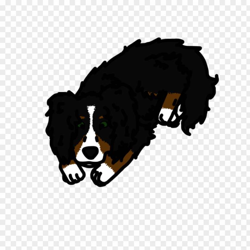 American Eskimo Dog Breed Bernese Mountain Puppy Snout PNG