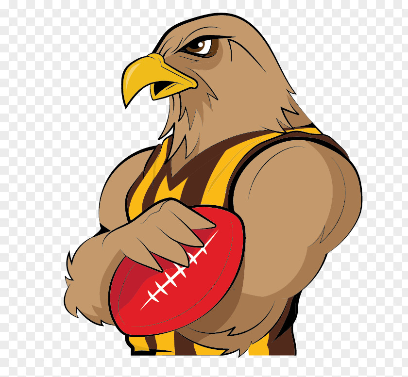 Hawk 2017 AFL Season Hawthorn Football Club West Coast Eagles Australian League Pre-season Competition Gold PNG
