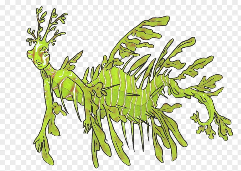 Seahorse Syngnathidae Leafy Seadragon Common Vertebrate PNG