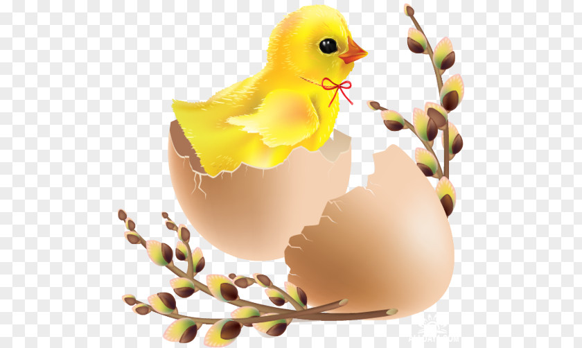 Easter Bunny Chicken Egg Clip Art PNG