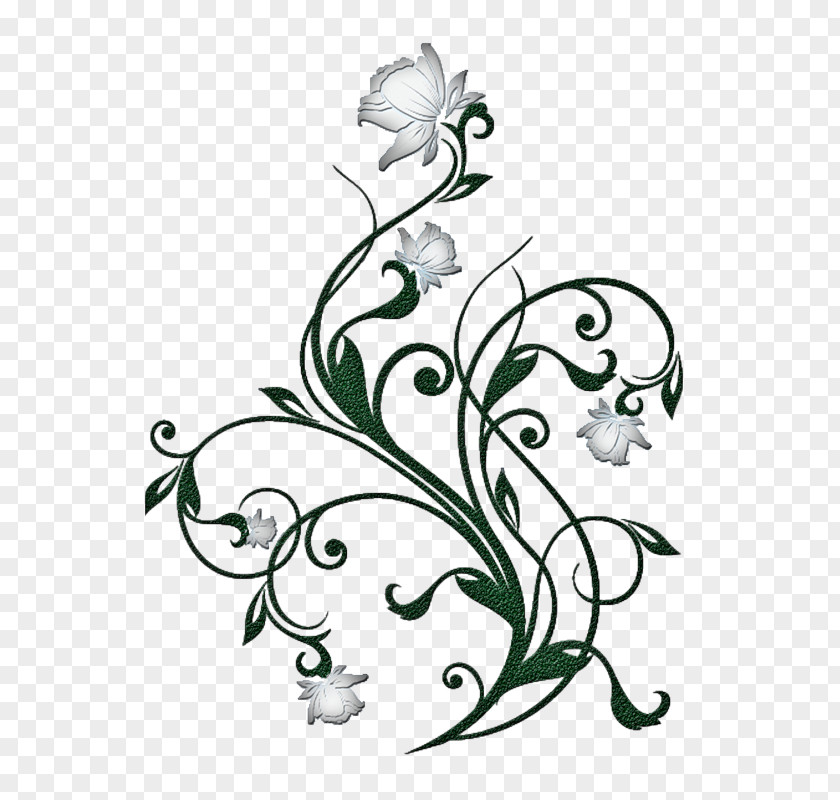 Plant Stem Blackandwhite Lily Flower Cartoon PNG