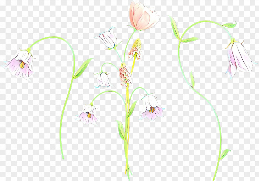 Wildflower Alismatales Pedicel Flower Plant Pink Stem PNG