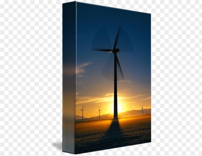 Wind Farm Common Daisy Flower Transvaal Energy Turbine PNG