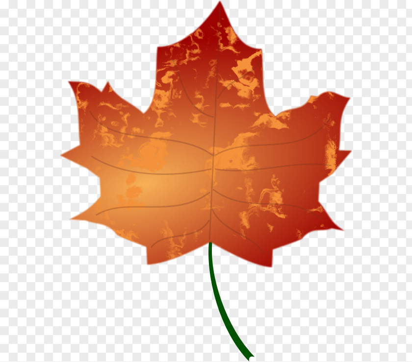 Autumn Colours Leaf Color Clip Art PNG