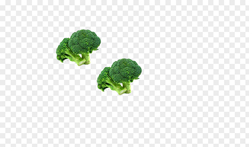 Broccoli Vegetable Icon PNG