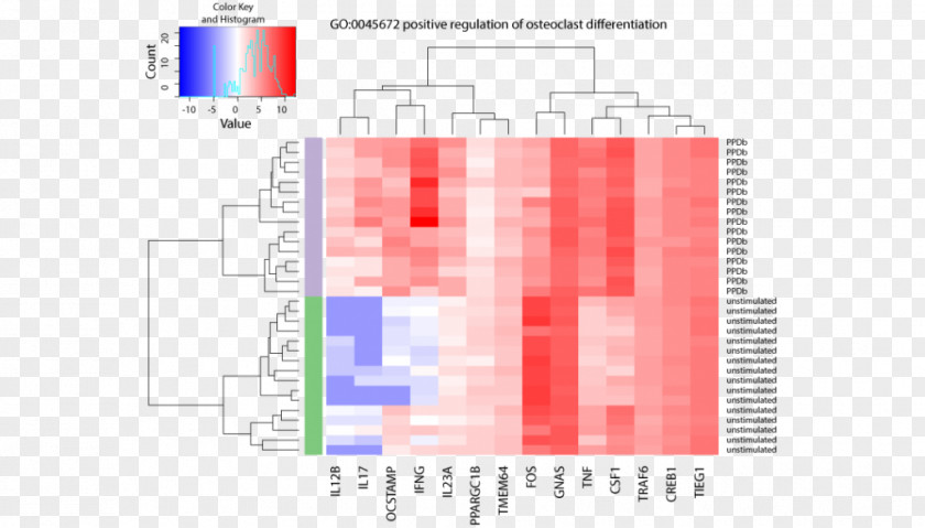 DNA Microarray Heat Map RNA-Seq Nucleic Acid Sequence PNG