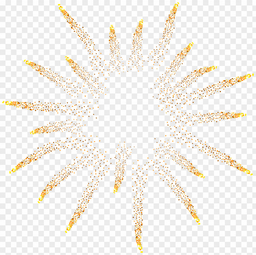 Fireworks Painting Jewellery Color PNG