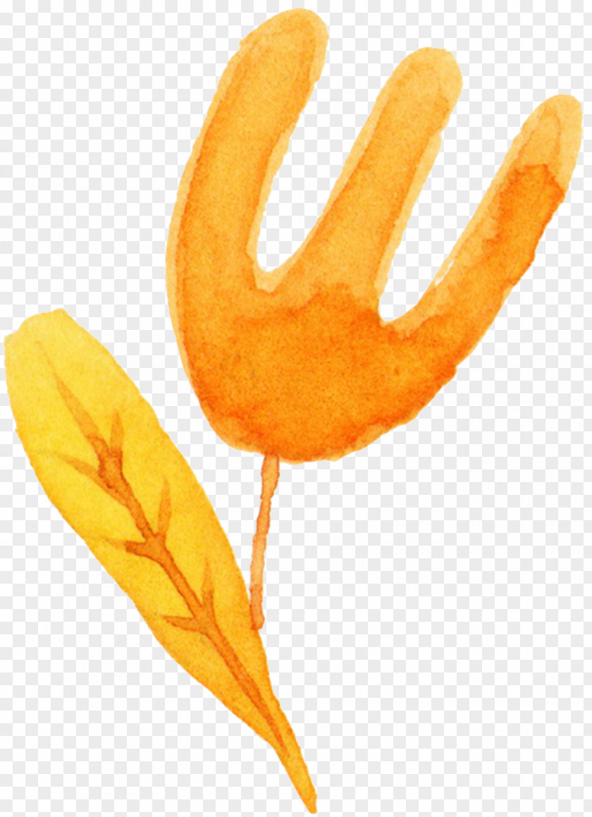 Fork-shaped Orange Plant Material Fork Download Icon PNG