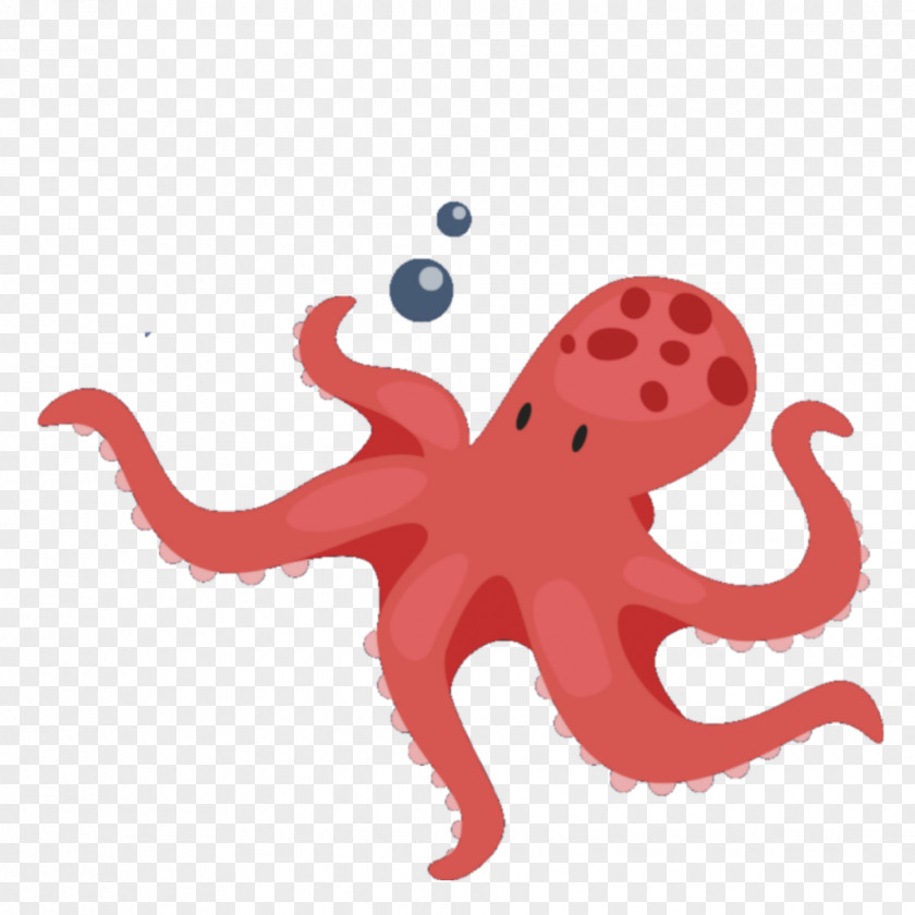 Summer Nights Cartoon Octopus Vector Graphics Image Psd PNG
