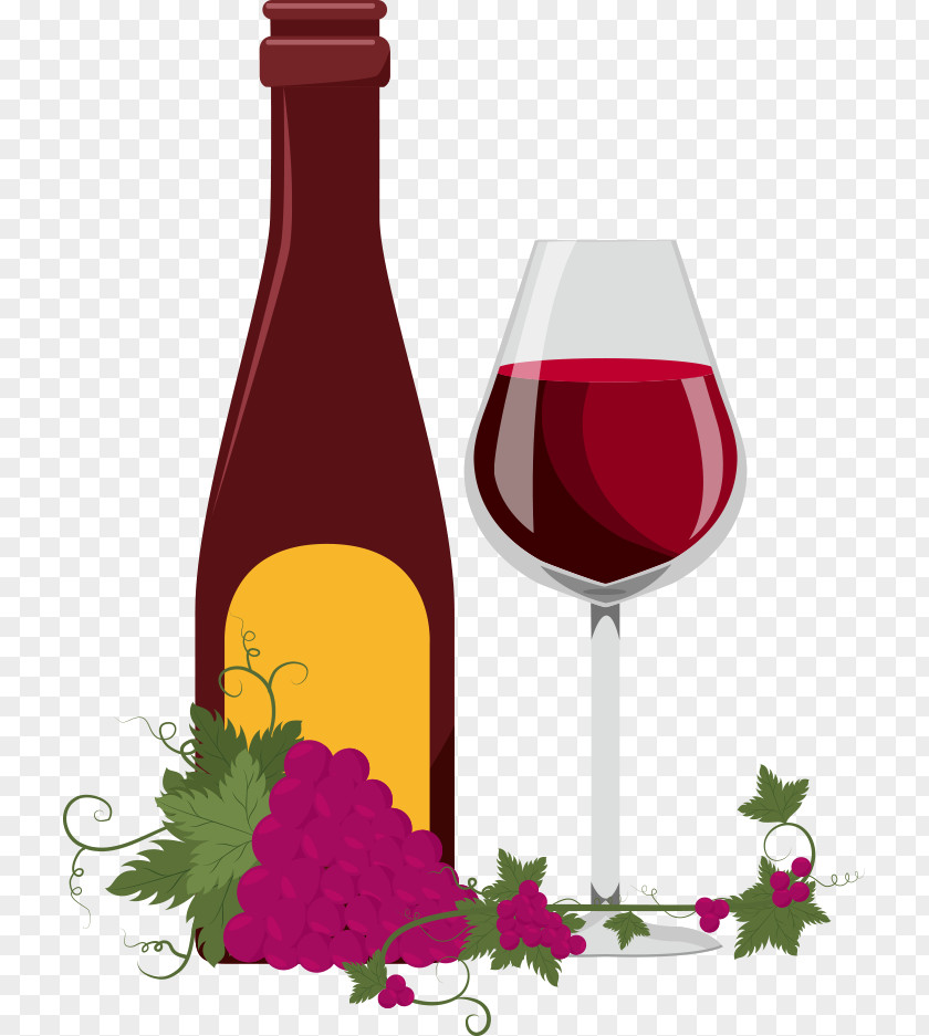 Vector Grape And Wine Common Vine Drawing Drink PNG