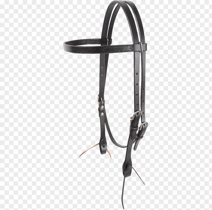 Design Bridle PNG