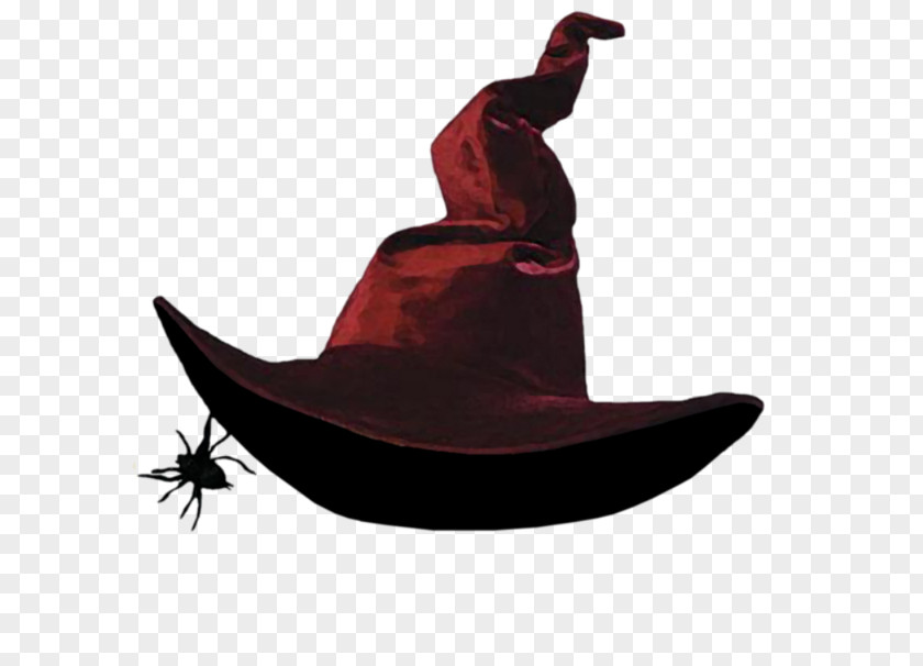 Hat Witch The Wicked Of West Costume Witchcraft PNG