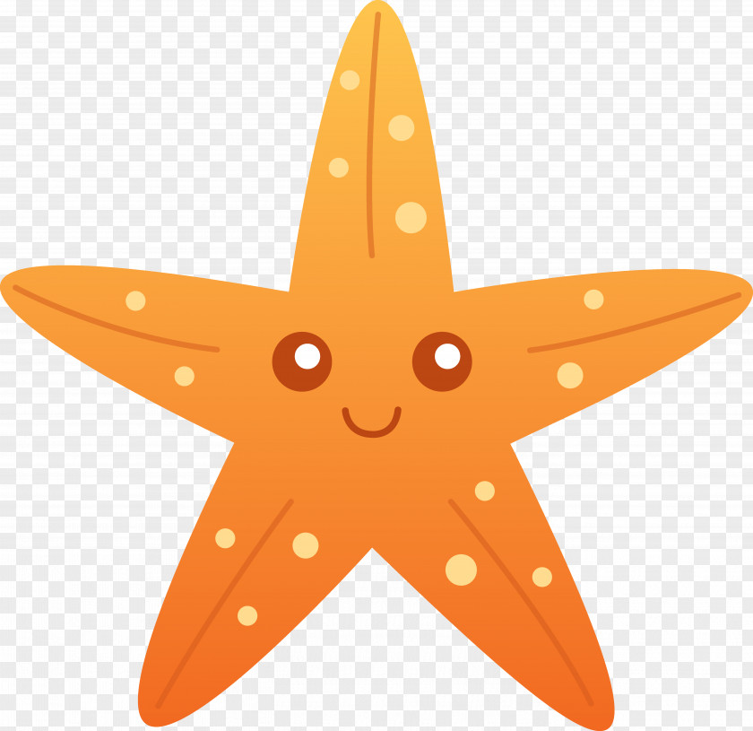 Horse Star Cliparts A Sea Starfish Cuteness Free Content Clip Art PNG