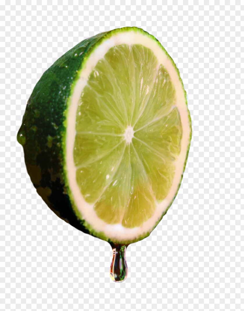 Key Lime Sweet Lemon Persian PNG