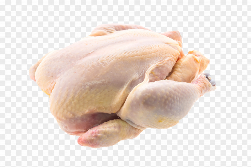 Chicken Meat Poultry Food PNG