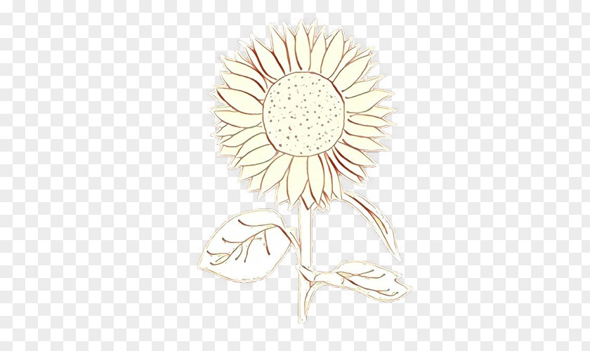 Daisy Cut Flowers Sunflower PNG