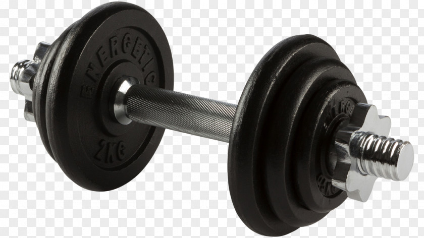 Dumbbell Weight Training Physical Fitness PNG